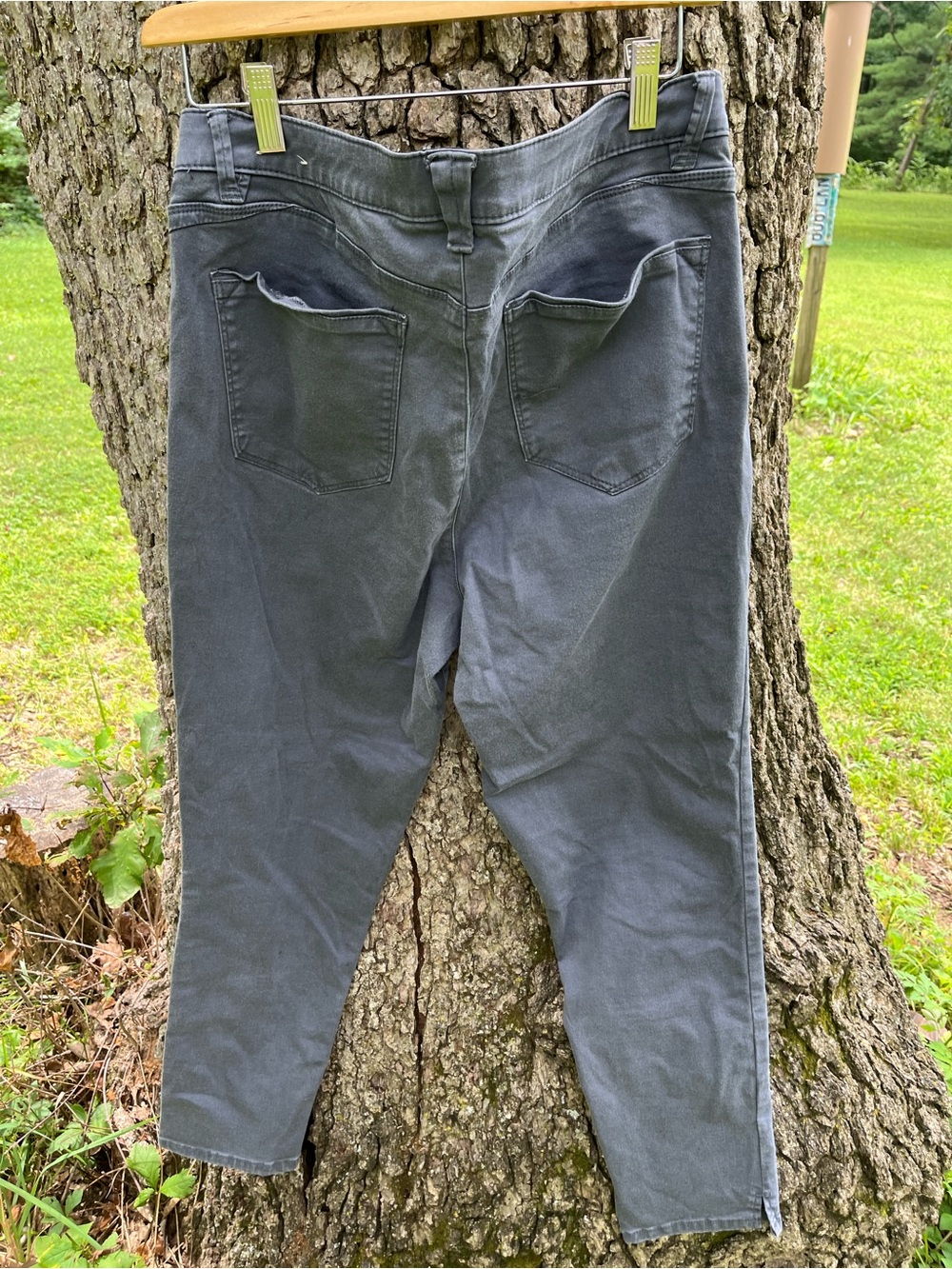 ⭐️Wit & Wisdom Ankle Pants in size 14